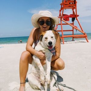 Meet your Posher, Analisa